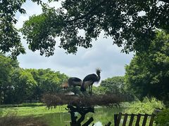 -广州长隆飞鸟乐园