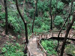 -大岭沟猕猴桃谷风景区