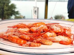 -八仔大富楼·河鲜(西江店)