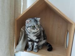 -Catmate·猫肥家润(金润铂宫店)