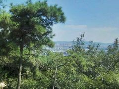 android_upload_pic-陈行公园