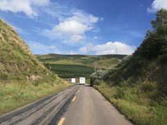 -塞罕坝国家级自然保护区