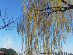 -无锡蠡湖国家湿地公园-蠡园