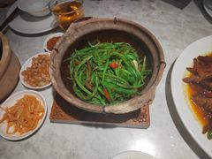 -天辣(金桥啦啦宝都店)