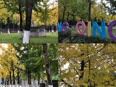 -重庆市江北嘴中央商务区中央公园