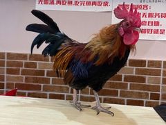 -重庆何乌鱼(南湖逸家店)