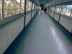 -青岛市市立医院(本部)
