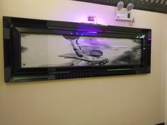 -东方之珠KTV娱乐超市(河北店)