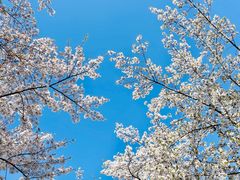 -西山漾湿地公园