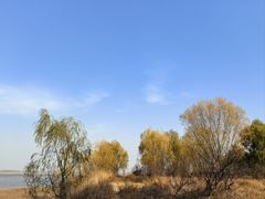 -花园口旅游区
