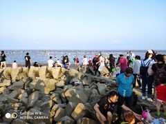 -南汇嘴观海公园