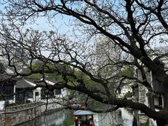 -青果巷历史文化街区