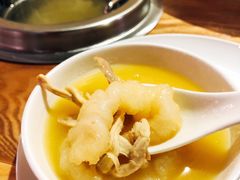 花胶鸡锅底-尚海豆捞(乐虹坊店)