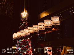 -瑞吉酒店·The Drawing Room闲逸廊·云端下午茶·夜奢Whiskey