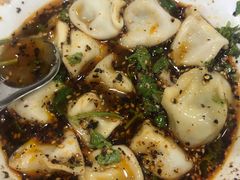 酸汤牛肉水饺-回坊马二饺子馆