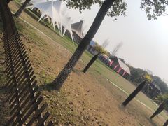 -上海都市菜园