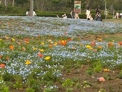 -苏州上方山国家森林公园