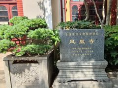 -凤凰寺