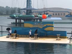 -秦皇岛乐岛海洋王国