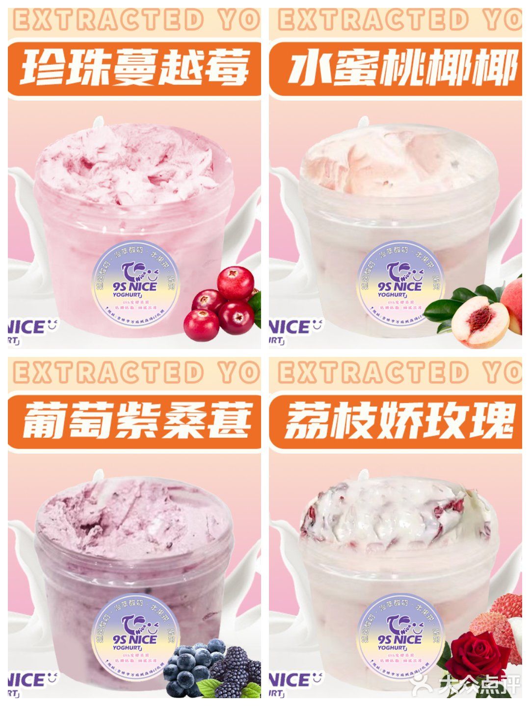 9S NICE | 冷萃酸奶真是让我挖到宝啦