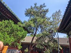 -潭柘寺景区