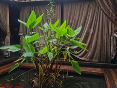 -都氏家DUSJOY(翡翠城店)