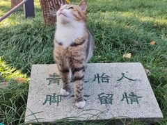 -陆家嘴金融服务广场2期