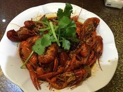 -海岛八号龙虾烧烤田鸡(蓝天路总店)