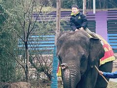 -南京汤山紫清湖生态旅游温泉度假区