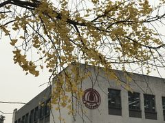 -四川大学(望江校区)