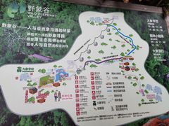 -野象谷景区