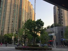 -Dough&Joe团憩(瑞虹天地月亮湾店)