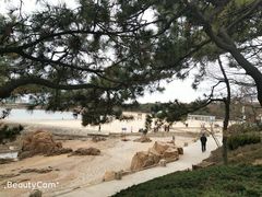 -青岛第二海水浴场