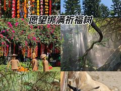 -青青世界