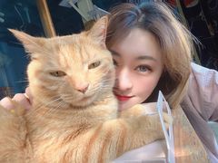 -喵屿·大理花园猫咖