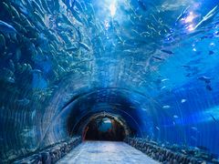 -华夏文旅海洋公园