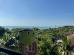 -三亚海棠湾万丽度假酒店