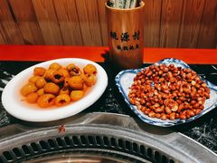 -桃源村铁锅炖鱼(体育馆道店)
