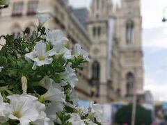 -斯蒂芬主教座堂(Stephansdom)