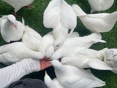 -成都欢乐谷