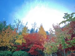 -北岭山森林公园