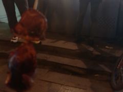 -簋街仔仔小龙虾(总店)