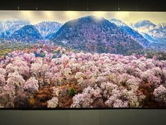 -罗红摄影艺术馆