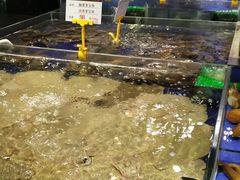 -船歌·鱼水饺青岛菜(闽江二路店)