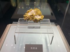 -安徽省地质博物馆