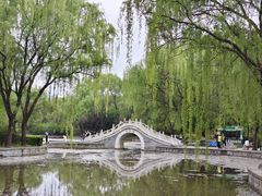 -洛阳市隋唐城遗址植物园