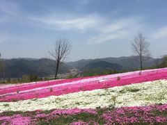 -鳌山滑雪度假区