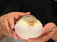 -永安鱼庄·镇江菜(东吴路店)