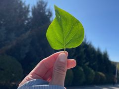 -六鼎山文化旅游区