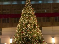 -丽思卡尔顿酒店泳池(金融街店)